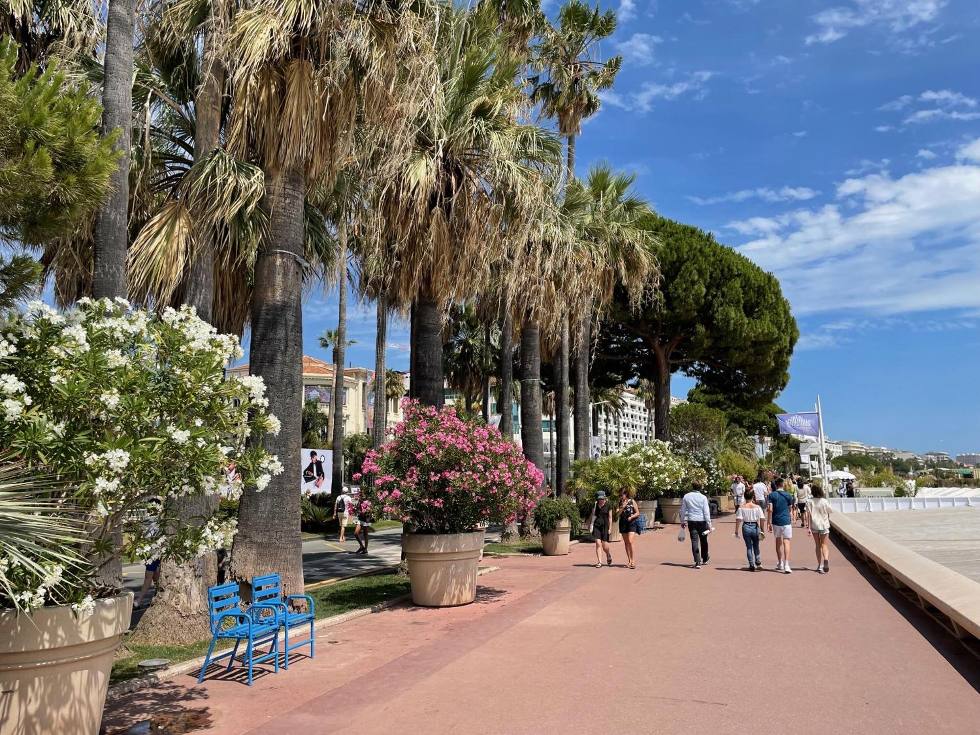Beautiful Apartment Cannes Center Terrace Parking Екстериор снимка